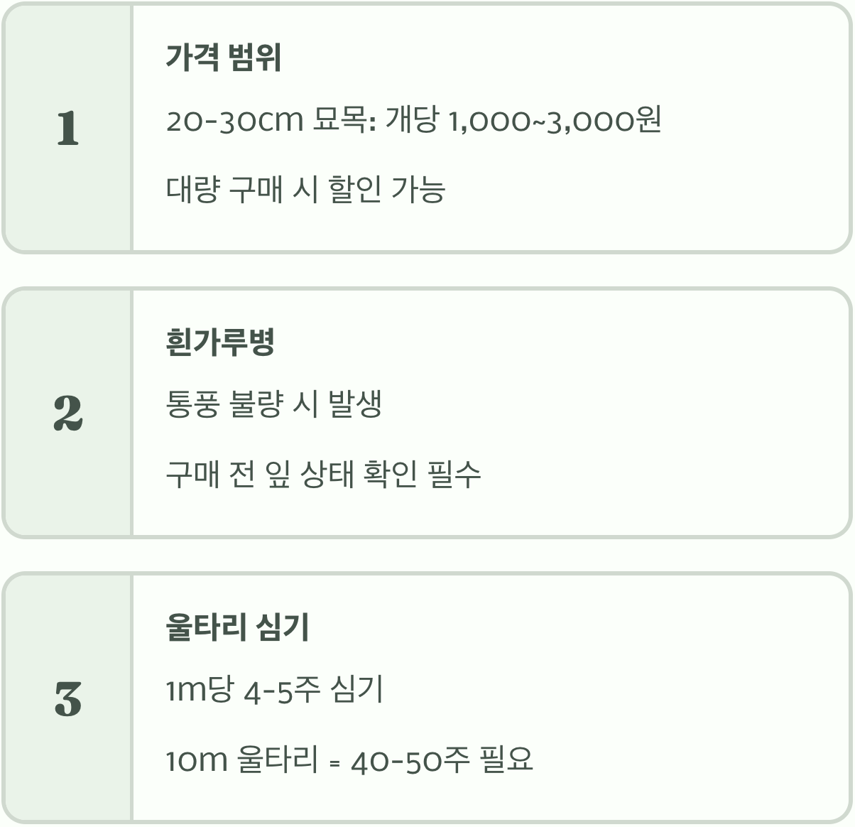 사철나무 묘목 가격, 저렴하고 튼튼한 묘목 고르는 비법
