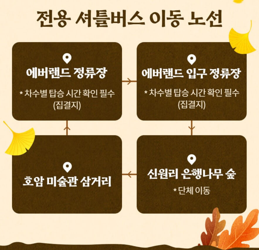 에버랜드 은행나무숲 예약하기 