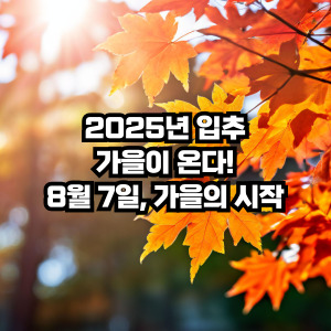 2025년 입추날싸