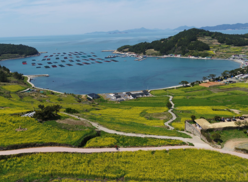 청산도