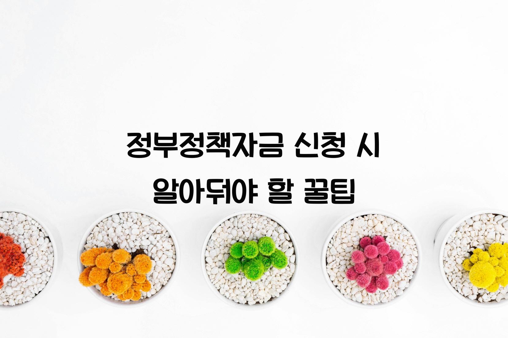 정부정책자금