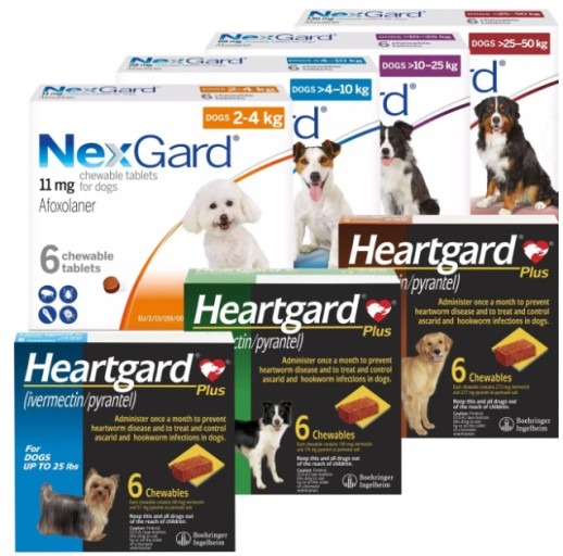 강아지 심장사상충약