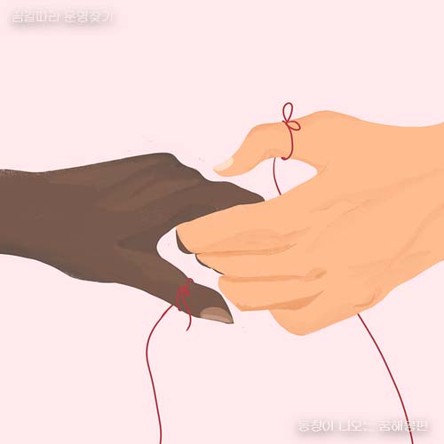 동창이 나오는꿈 친구가 나오는꿈