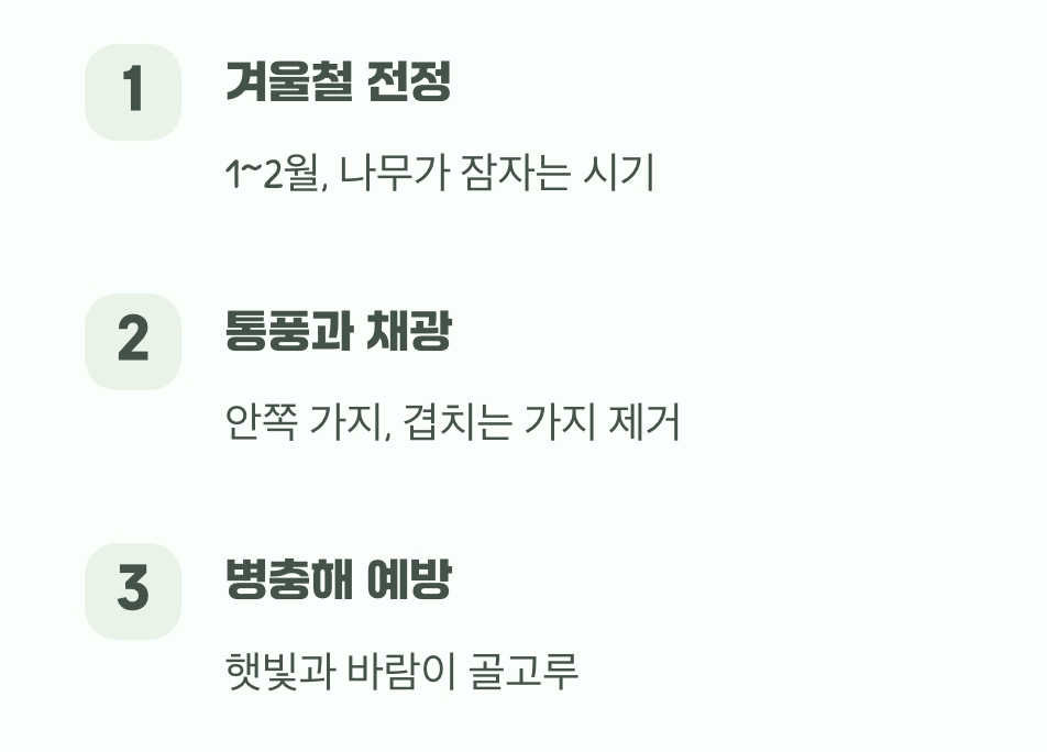 가지치기&amp;#44; 미용이 아닌 건강을 위한 수술