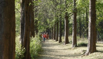 서울 둘레길 코스 정리 완벽가이드