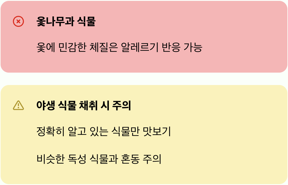 주의! 함부로 맛보면 안 돼요