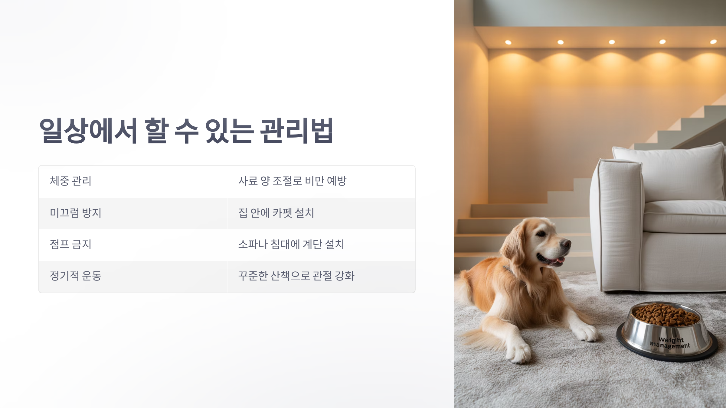 참조-반려동물,-슬개골-탈구-4