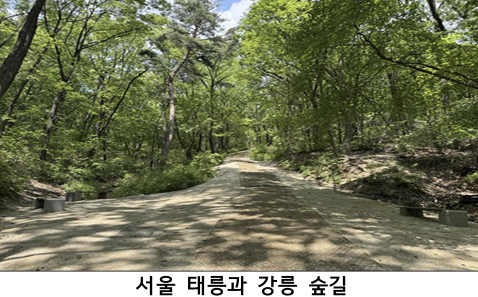 서울시 태릉