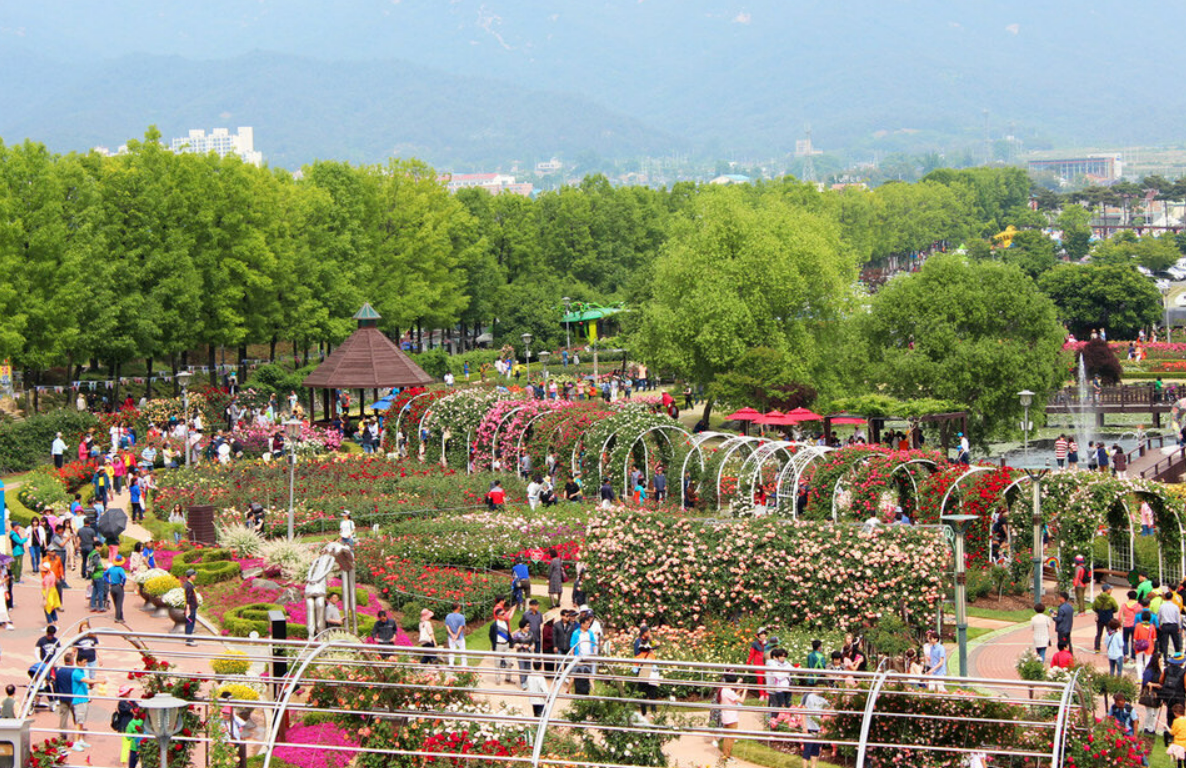 곡성 장미축제 공연