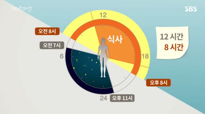 간헐적 단식
