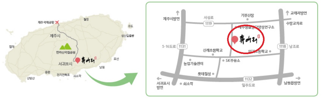 휴애리 유채꽃 축제