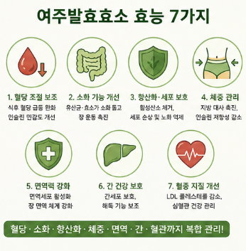 여주발효효소-효능-뜻-먹는법-가격-효과