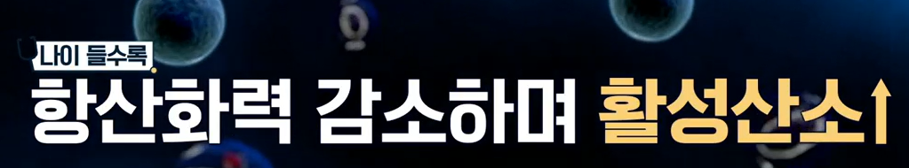 모로실 효능