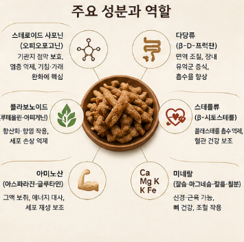 볶음맥문동진액-효능-효과-복용법-부작용-판매처