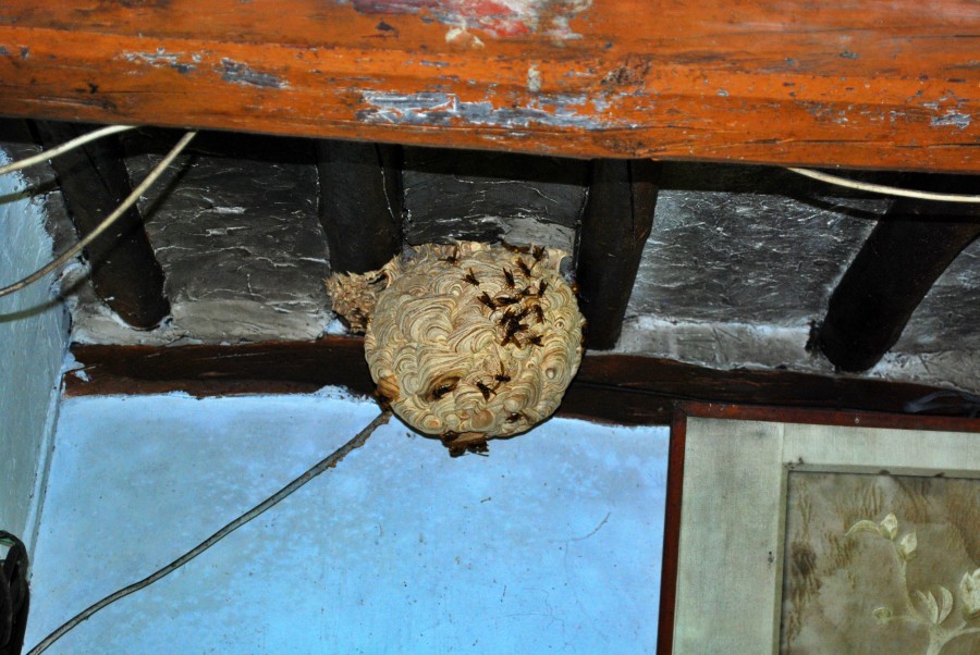 장흥군 대덕읍 분토리