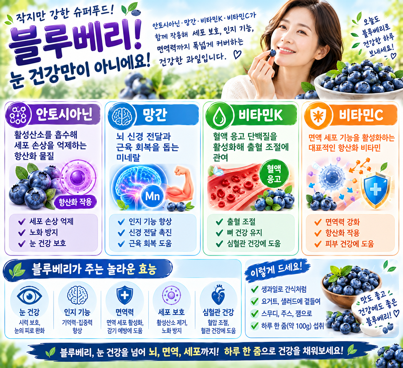 블루베리 효능