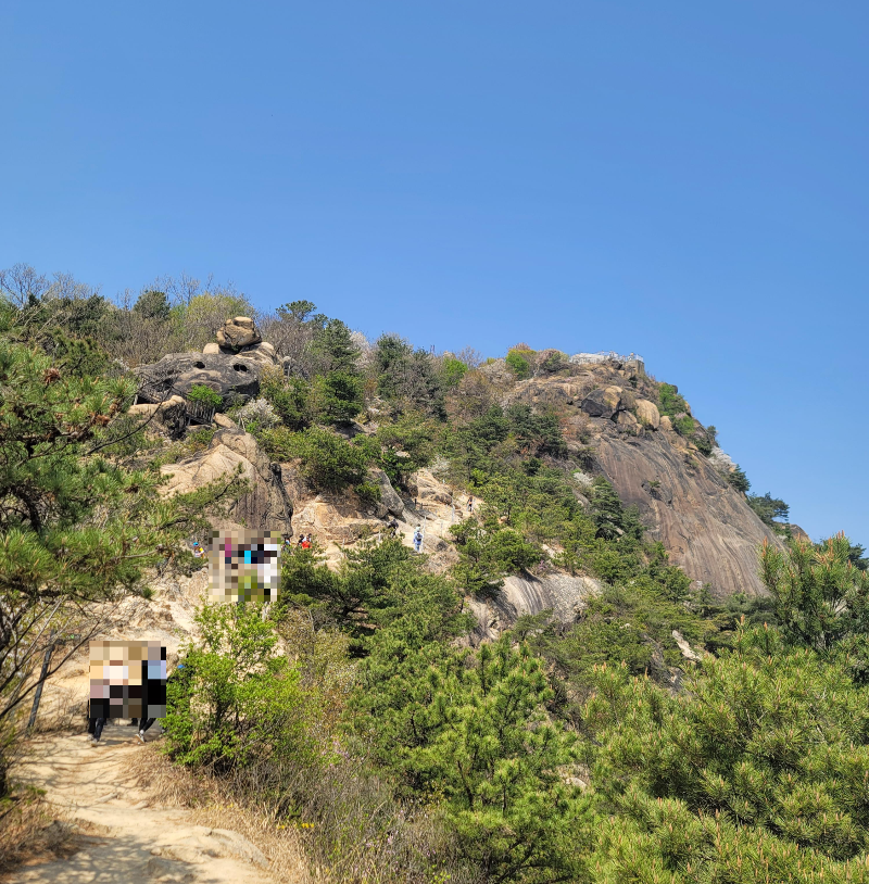 안산 하산길