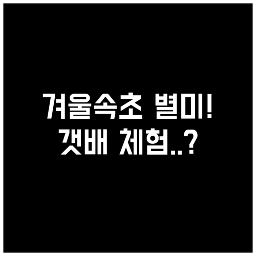 속초 중앙시장 겨울 제철 음식과 아바..