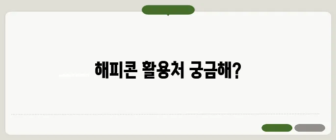 해피콘 사용처 총정리 어디서 쓸 수 있는지 한눈에