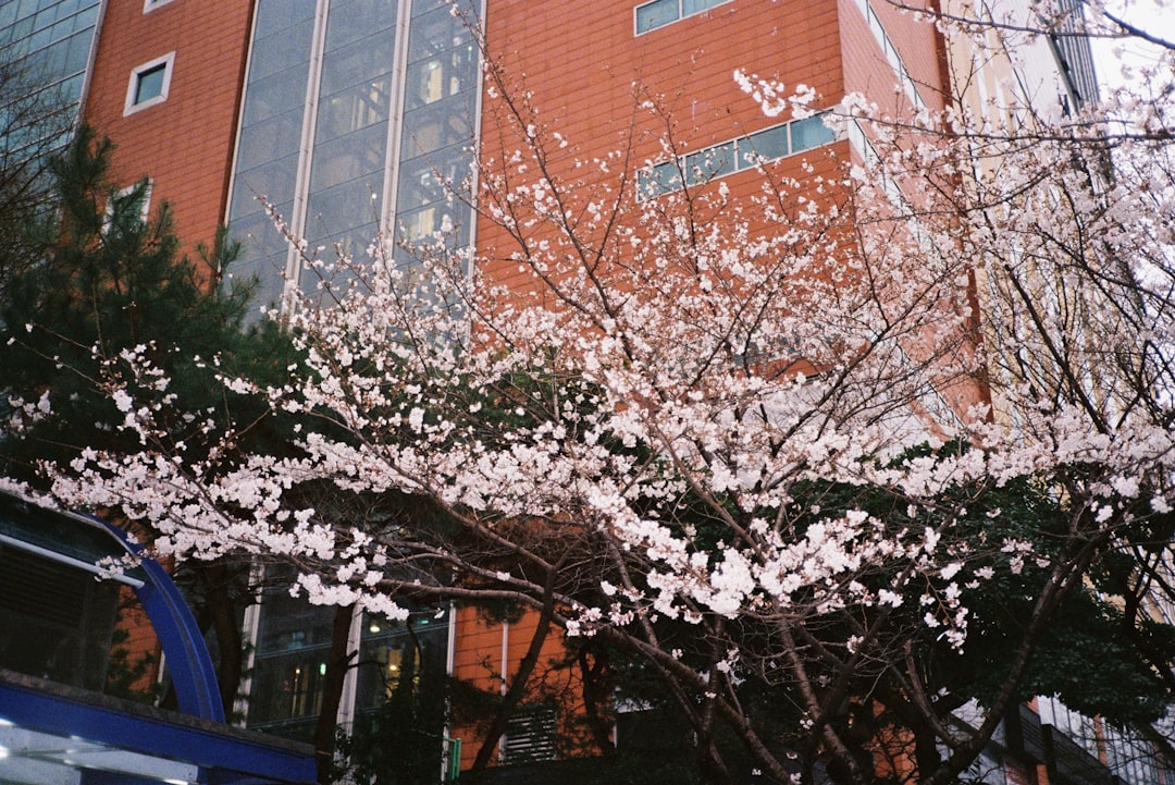 Busan