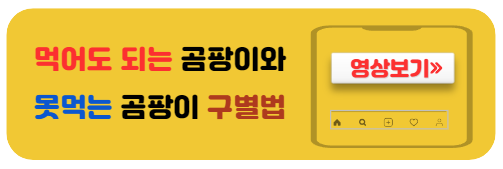 먹어도되는곰팡이구별법