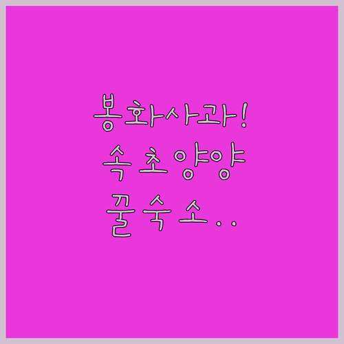 법전면 봉화 사과 쇼핑 여행 코스 및..