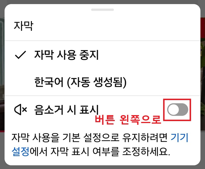 자막 설청 창 보임