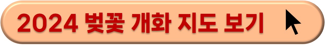 벚꽃 개화 시기 확인