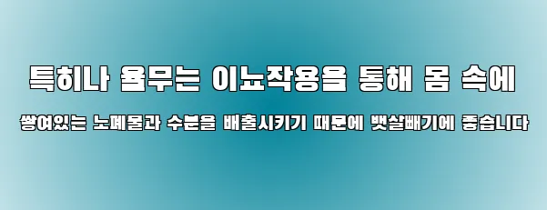  특히나 율무는 이뇨작용을 통해 몸 속에 쌓여있는 노폐물과 수분을 배출시키기 때문에 뱃살빼기에 좋습니다