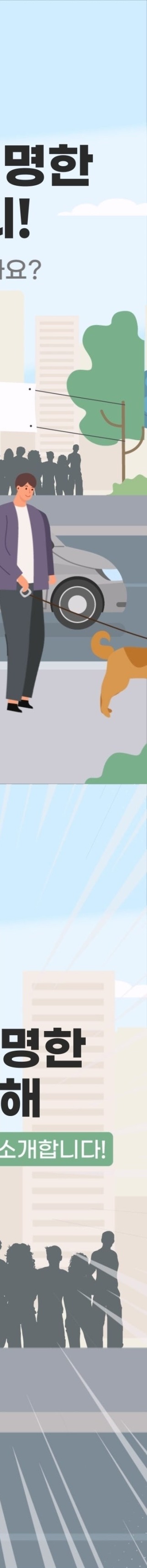 대통령 선거 개표방송