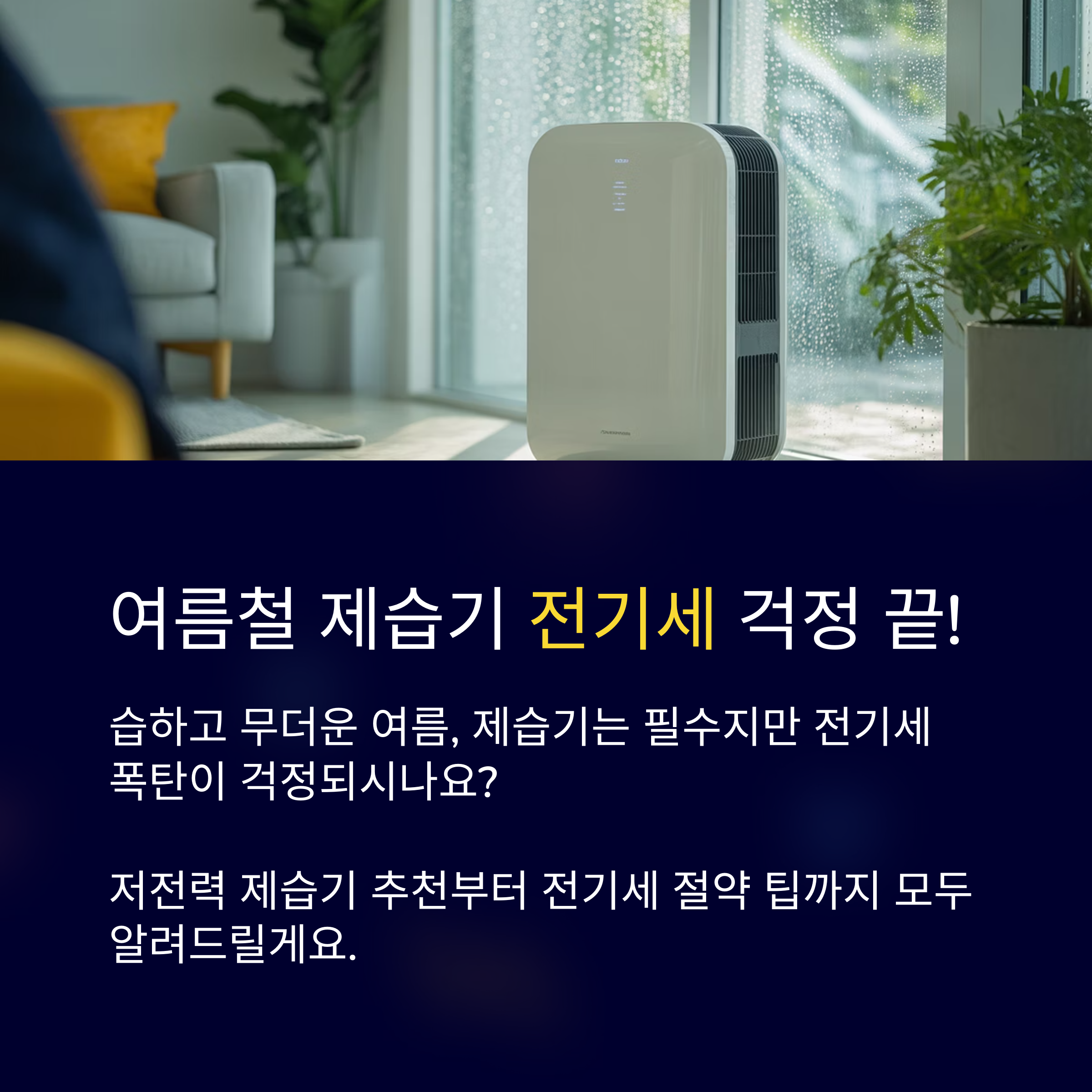 전기세 아끼는 제습기 선택법