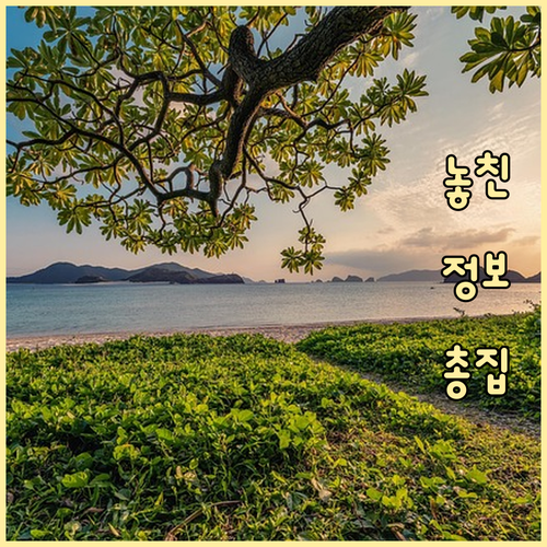 강북구 미아동 깨끗한 환경, 올바른 ..