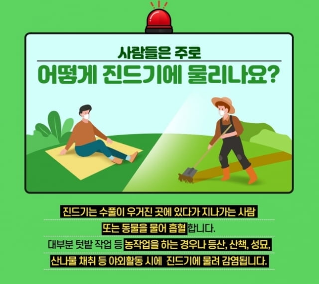 살인진드기 감염경로