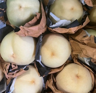 대전설아복숭아