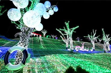 겨울여행 크리스마스여행 청도프로방스빛축제