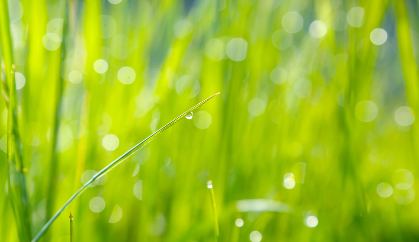 계절의 변화를 세분화한 24 절기 중 '백로' 이해하기