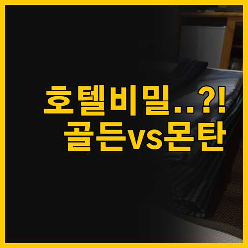 하카타 숙소의 비밀, 몬탄과 골든 게..