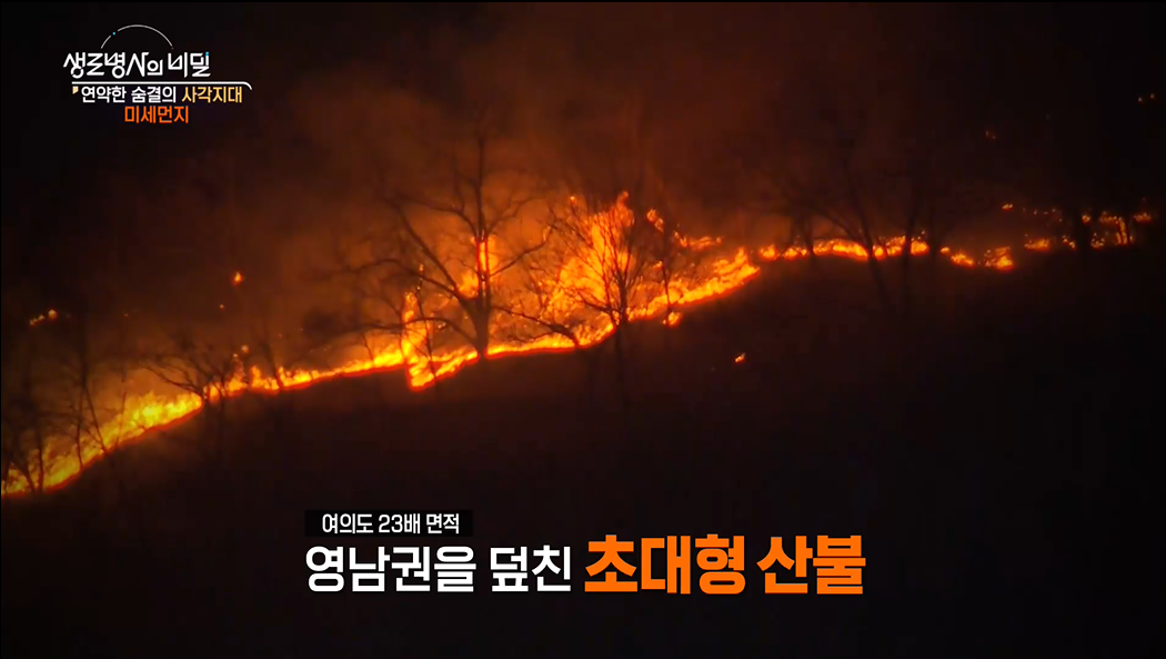 생로병사의 비밀 미세먼지