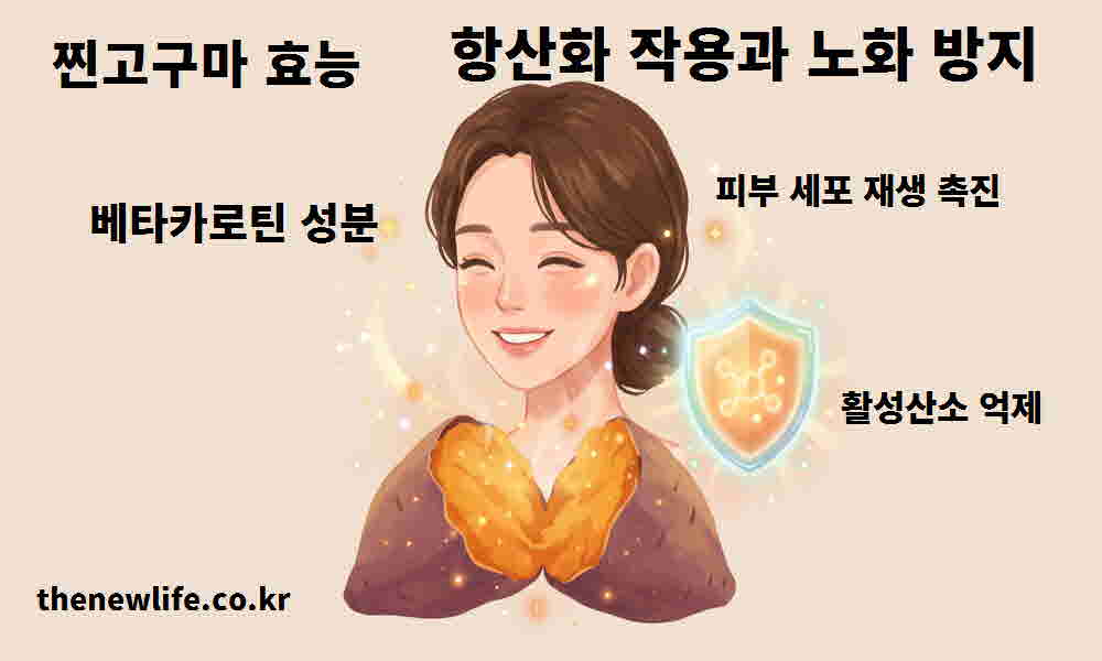 찐고구마 효능 항산화 작용 노화 방지