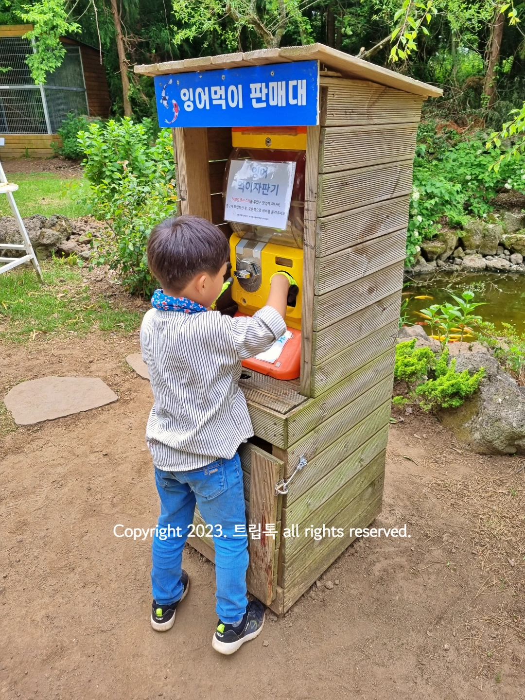 나무로된 잉어먹이 가판대에서 아이가 먹이를 사고있다