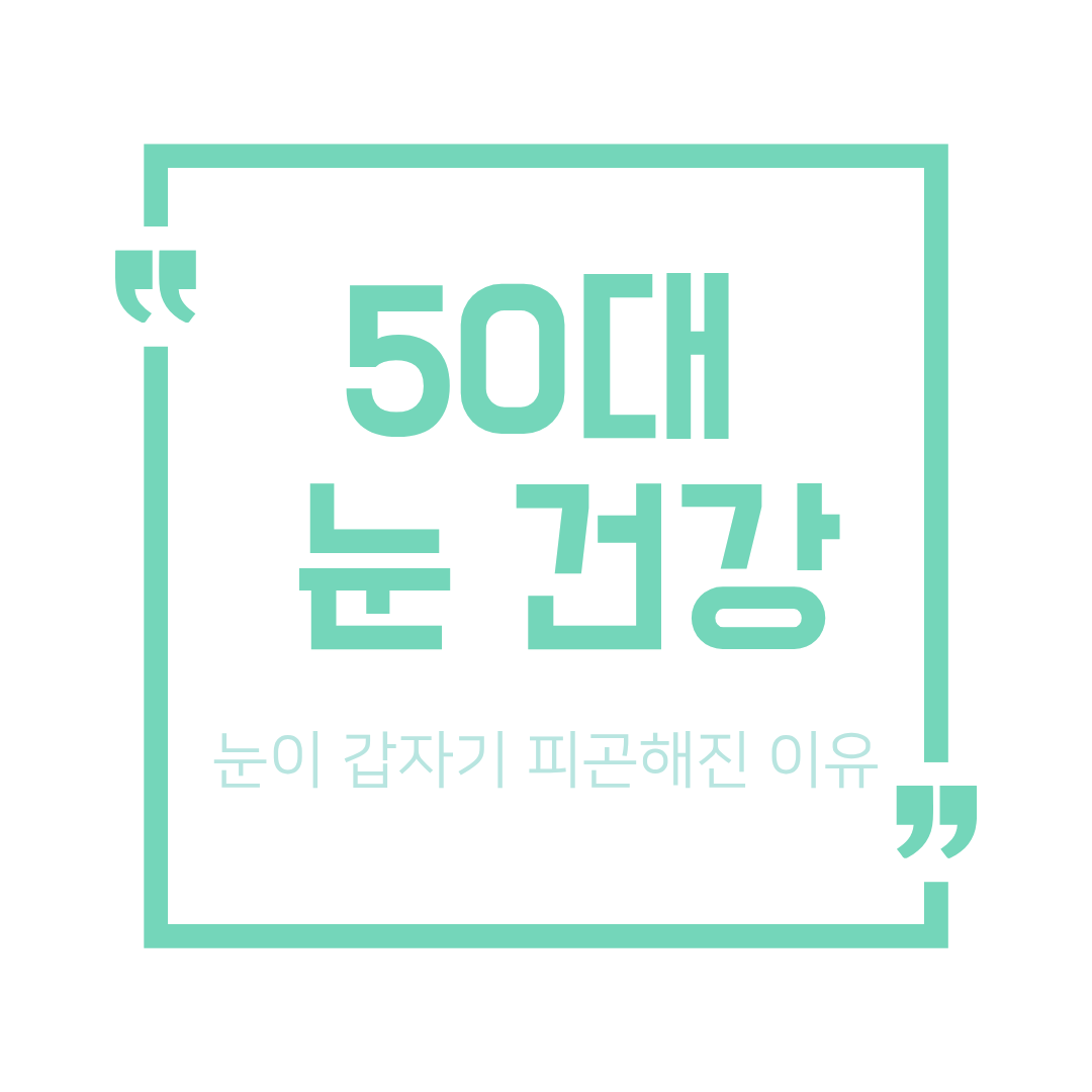 50대 눈 건강 관리 총정리