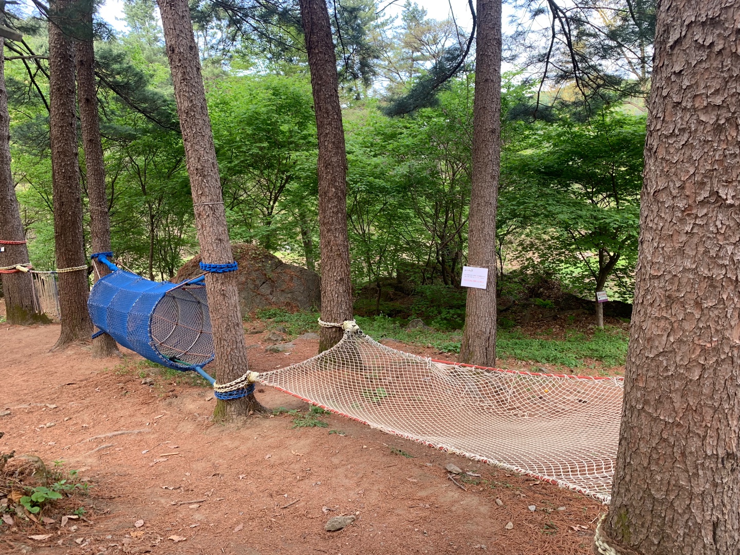 물맑음놀이터 유아숲체험원