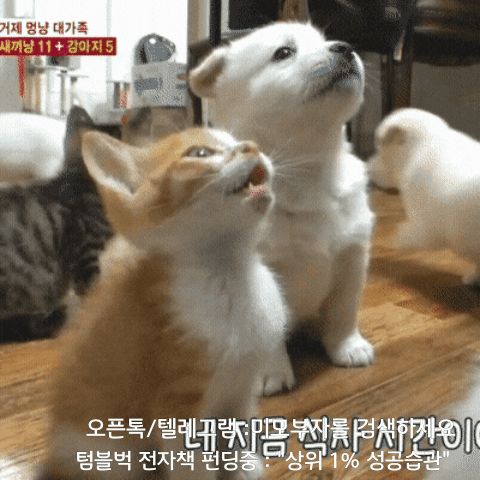 1월 22일 월 신문스크랩