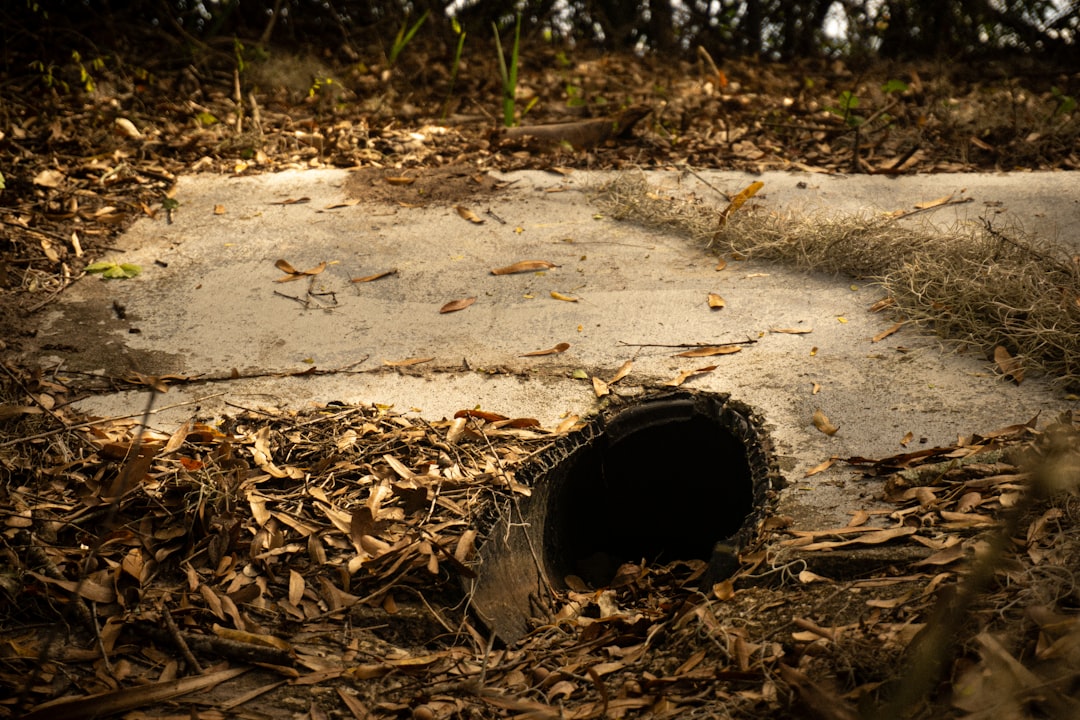 Drainage
