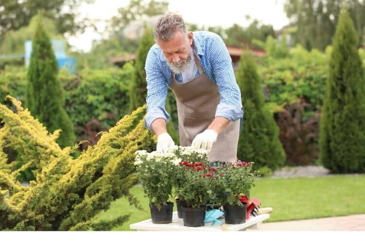 치매 예방 식물을 가꾸는 모습