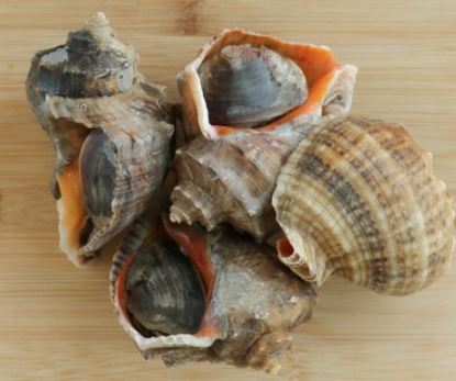 3월 제철 음식&amp;#44; 식재료&amp;#44; 해산물&amp;#44; 과일&amp;#44; 달래&amp;#44; 씀바귀&amp;#44; 쑥&amp;#44; 소라&amp;#44;