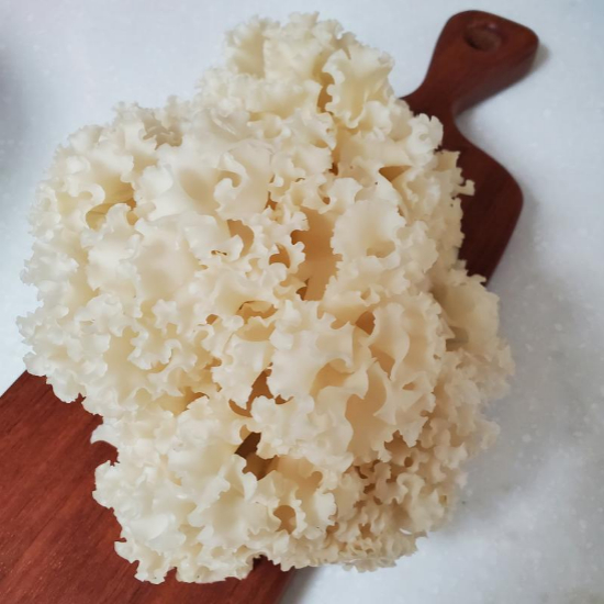 도마위에 꽃송이 버섯