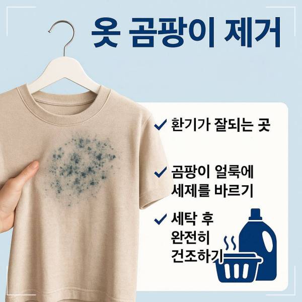 옷 곰팡이 제거(세탁)법