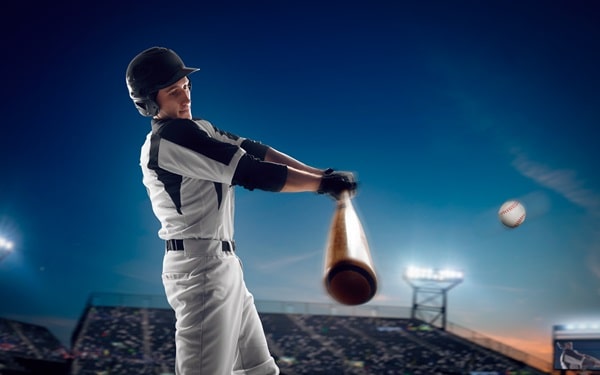 와일드카드 예매