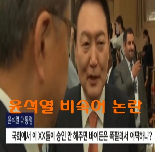 윤석열 비속어 
